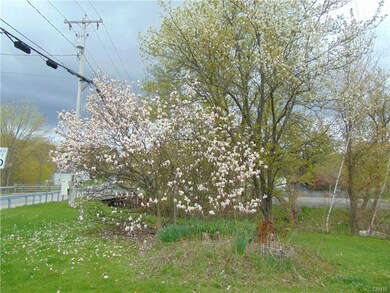 beautiful tree in side yard