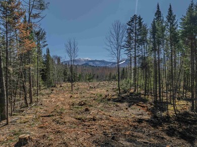 00 Easton Rd unit 4-1.1B, Franconia, NH 03580 - photo 6