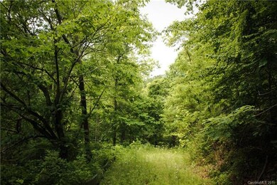 Mid-way up the property, looking back at Mtn Tea L
