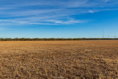 TBD 1085, Trent, TX 79561 - photo 5