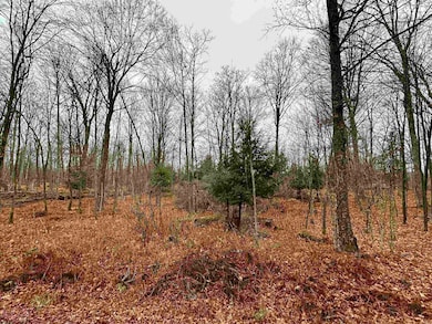 Lot 61 Chip n Dale Dr, Pickerel, WI 54465 - photo 2