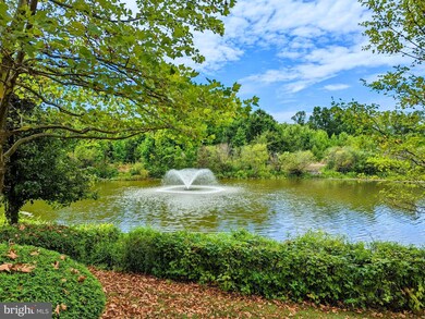 169 Tunicflower Ln, Princeton Junction, NJ 08550 - photo 4