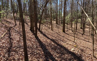 0 Hiawassee Ct unit 323830, Ellijay, GA 30540 - photo 4