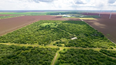 0 Cr 59 South of Fm 70 unit 11356339, Bishop, TX 78343 - photo 3