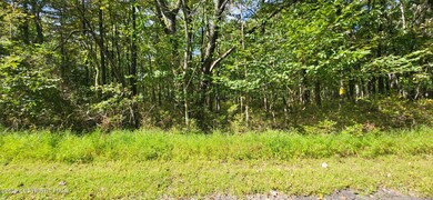 A188 White Oak Ln, Jim Thorpe, PA 18229 - photo 2