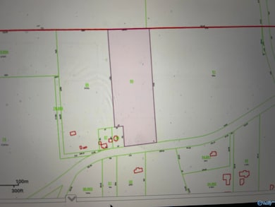 4277 Hobbs Island Rd, Owens Cross Roads, AL 35763 - photo 2