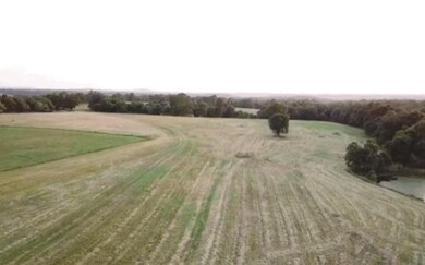 2667 Highlands Way, Springdale, AR 72762 - photo 5