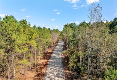 Lot 10 Creek Bend Trail, Troup, TX 75789 - photo 3