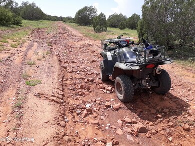 197bcd Off Indigo Way, Ash Fork, AZ 86320 - photo 3