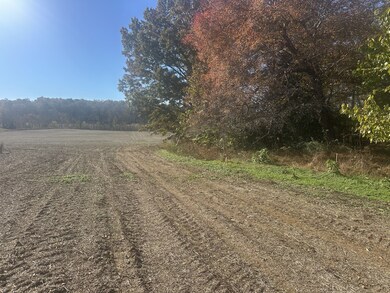 0 Petty Rd, Sparta, TN 38583 - photo 5