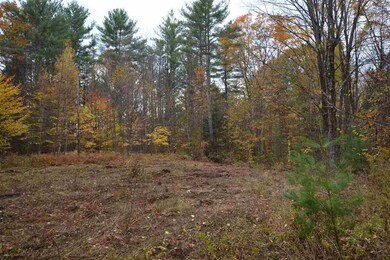 0 Bridle Rd unit 19, Antrim, NH 03440 - photo 3