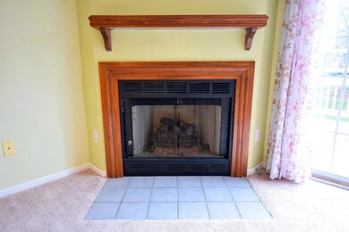 7 Fireplace in Dining Room