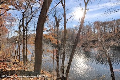 1037 W Main St, Grand Ledge, MI 48837 - photo 4