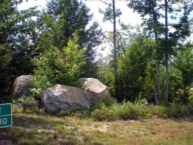 Lot 3 Farm Pond Ln unit Lot 3, Tuftonboro, NH 03816 - photo 6