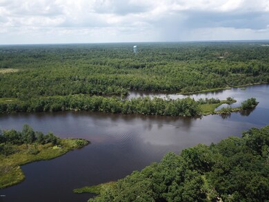 90 Acres Moragas Ln, Kiln, MS 39556 - photo 4