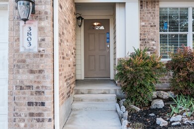 3803 Bennington Way, San Antonio, TX 78261 - photo 4