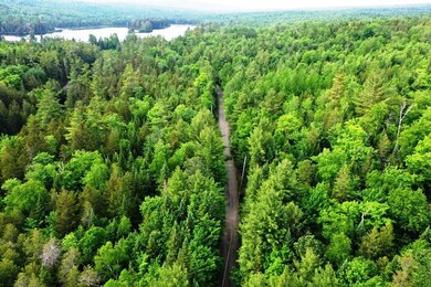 DJI_0329