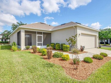 Manicured Back of home