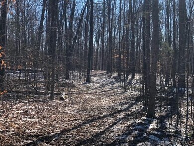 000 Mattoax Ln, Amelia, VA 23002 - photo 4