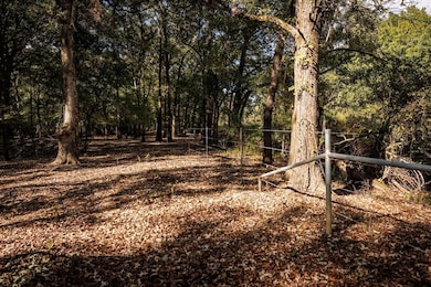 12245 County Rd 3514, Brownsboro, TX 75756 - photo 6