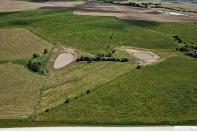 21.85 Acres, N 14th Rd, Unadilla, NE 68454 - photo 4