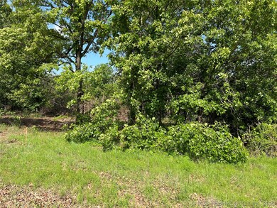 0 N 92nd Ave N unit 2316443, Skiatook, OK 74070 - photo 3