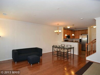 42607 Cardinal Trace Terrace, Ashburn, VA 20148 - photo 6