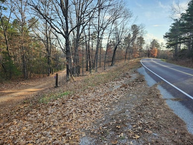 43565 St Highway 181-Pvt Dr-B, Vanzant, MO 65768 - photo 5