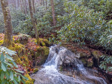 2001 Little Ellijay Rd, Franklin, NC 28734 - photo 4