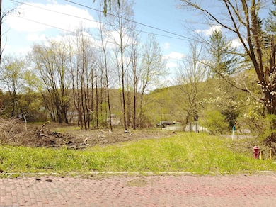1st and Spruce Street Corner, Thomas, WV 26292 - photo 3