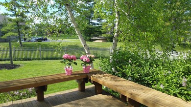 Deck/Backyard