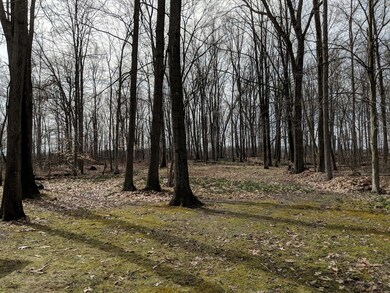 1542 County Road 995, Ashland, OH 44805 - photo 5