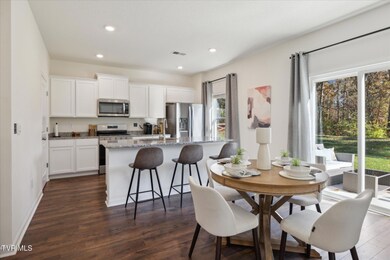 341 Alta Tree Blvd, Johnson City, TN 37604 - photo 5