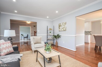 1 Bradshaw Ct, Silver Spring, MD 20905 - photo 7