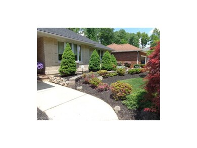 Front Yard Landscaping