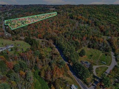 0 Honeypot Rd, Candor, NY 13743 - photo 2