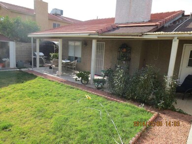 backpatio 1