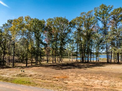 0 Carolina Dr Lot 9, Bullard, TX 75757 - photo 5