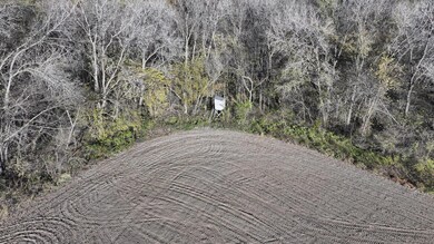 TBD County 10, Caledonia Township, MN 55921 - photo 2