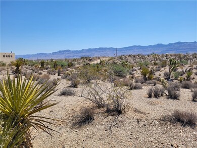 870 Calico Dr unit 4/Lot1556, Meadview, AZ 86444 - photo 3