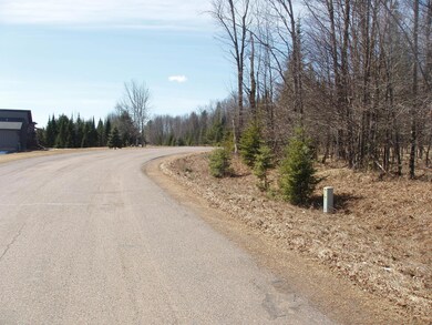 4th Add. Margaret Ln unit Lot 14, Park Falls, WI 54552 - photo 6