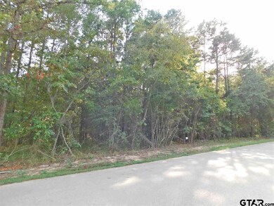 14670 Jade Forest Trail, Tyler, TX 75707 - photo 3