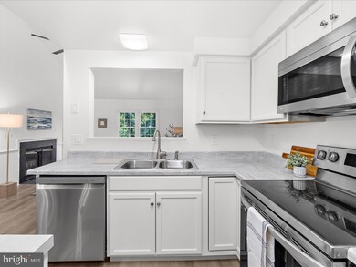 13034 Shadyside Ln unit 14244, Germantown, MD 20874 - photo 6