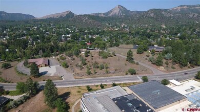 0 Calle de Rincon unit 764222, Durango, CO 81301 - photo 6