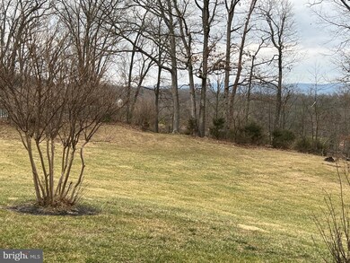 1165 Waugh Rd unit BOTTOM LEVEL, Berkeley Springs, WV 25411 - photo 4