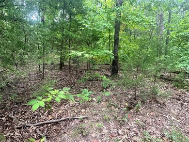 0 10 Acres State Hwy E, Cadet, MO 63630 - photo 5