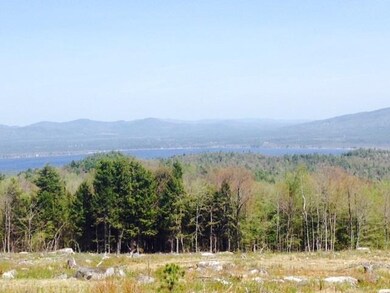 85 Knox Mountain Rd unit 1, Ossipee, NH 03814 - photo 3