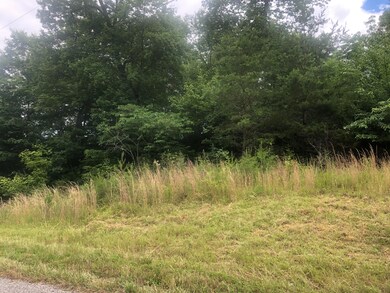 309 Bluff View 1