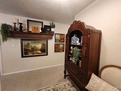 Detailed view of a textured ceiling and carpet