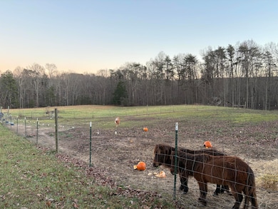 5146 Griffith Rd, Pikeville, TN 37367 - photo 5